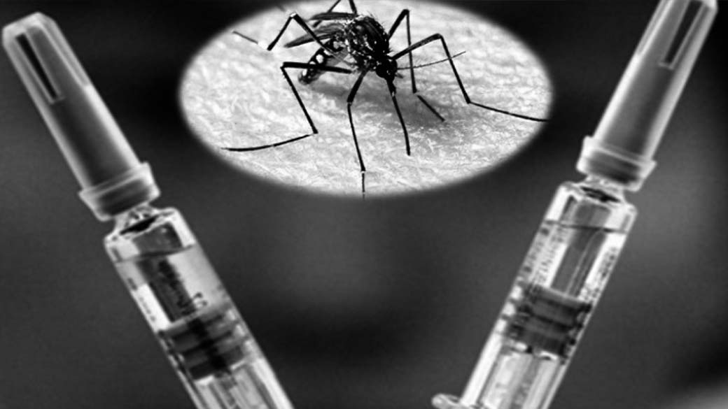 Empresas farmacéuticas desarrollan vacunas contra el virus Zika